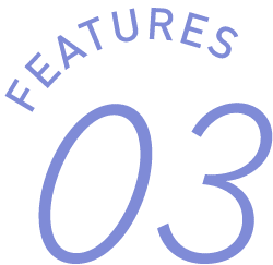 FEATURES03