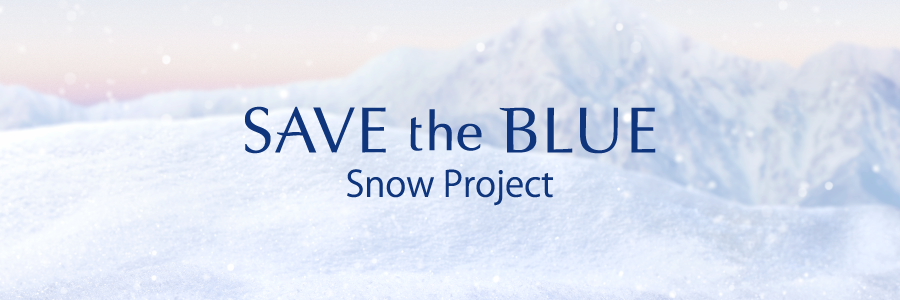 Snow Project