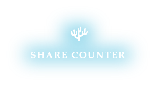SHARE COUNTER