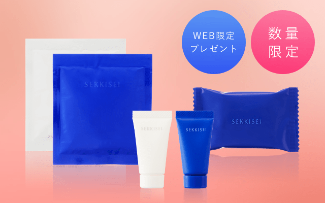 Web限定プレゼント・数量限定プレゼント商品のイメージ