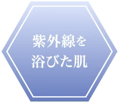 “紫外線を浴びた肌