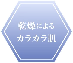 “乾燥によるカラカラ肌