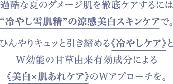肌ダメージが加速する夏の酷暑。強い紫外線や冷房による乾燥はもちろん、屋外と室内の《温度と湿度の落差》や《過酷な汗・皮脂》も、肌のバリア機能を低下させさまざまな肌トラブルの原因に。