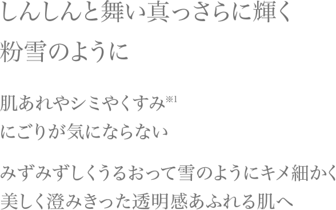 しんしんと降り積もる真っさらな雪のように