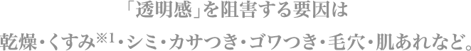 「透明感」を阻害する要因は乾燥・くすみ＊1・シミ・カサつき・ゴワつき・毛穴・肌あれなど。