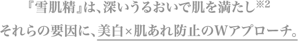 『雪肌精』は、深いうるおいで肌を満たし＊2それらの要因に、美白×肌あれ防止のWアプローチ。