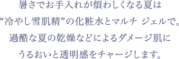 “暑さでお手入れが煩わしくなる夏は“冷やし雪肌精”の化粧水とマルチ ジェルで。過酷な夏の乾燥などによるダメージ肌にうるおいと透明感をチャージします。