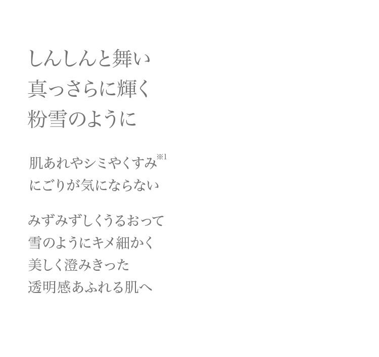 しんしんと降り積もる真っさらな雪のように